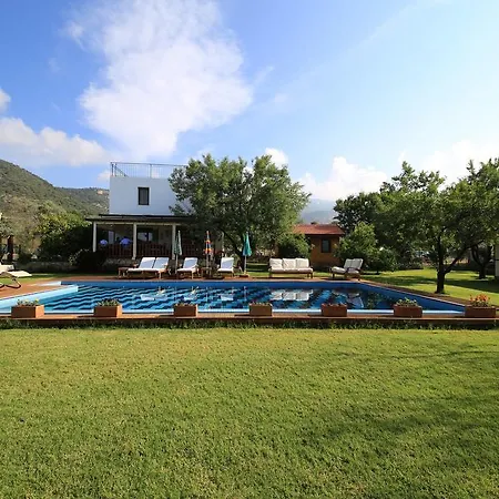 Bal Badem B&B *