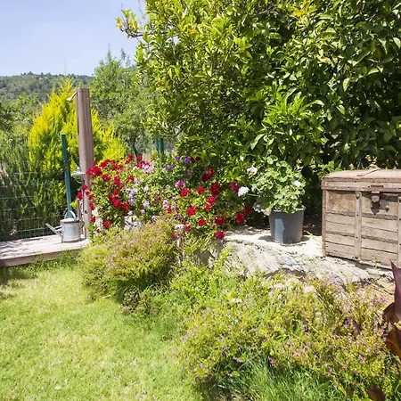 Bal Badem 住宿加早餐酒店