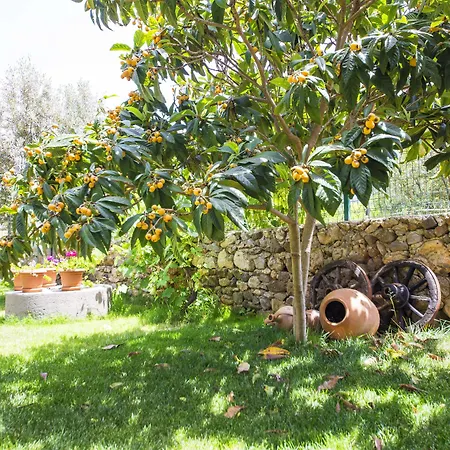 Bal Badem 住宿加早餐酒店 *