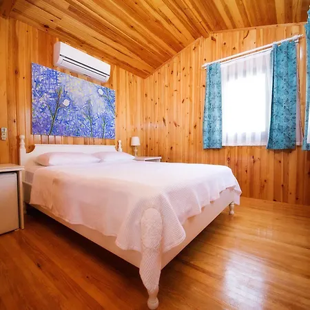 住宿加早餐酒店 Bal Badem *