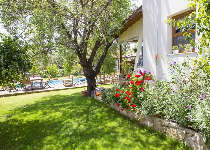 Bal Badem داتْشا