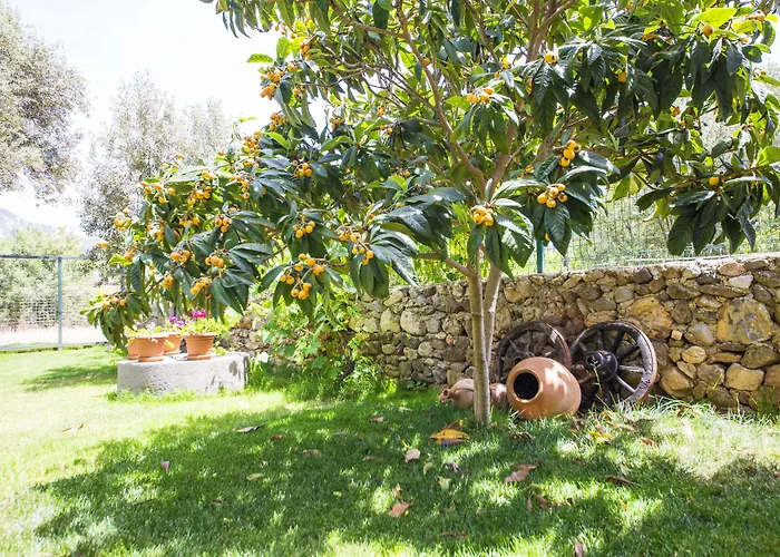 Bal Badem فندق مبيت وإفطار *