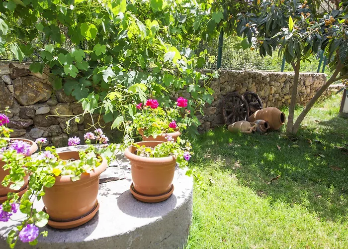 فندق مبيت وإفطار Bal Badem